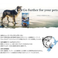 画像5: 最短賞味2025.2.28・アディクション 犬 サーモンブルー 500g全年齢犬用ドッグフードADDICTION正規品add11090 (5)