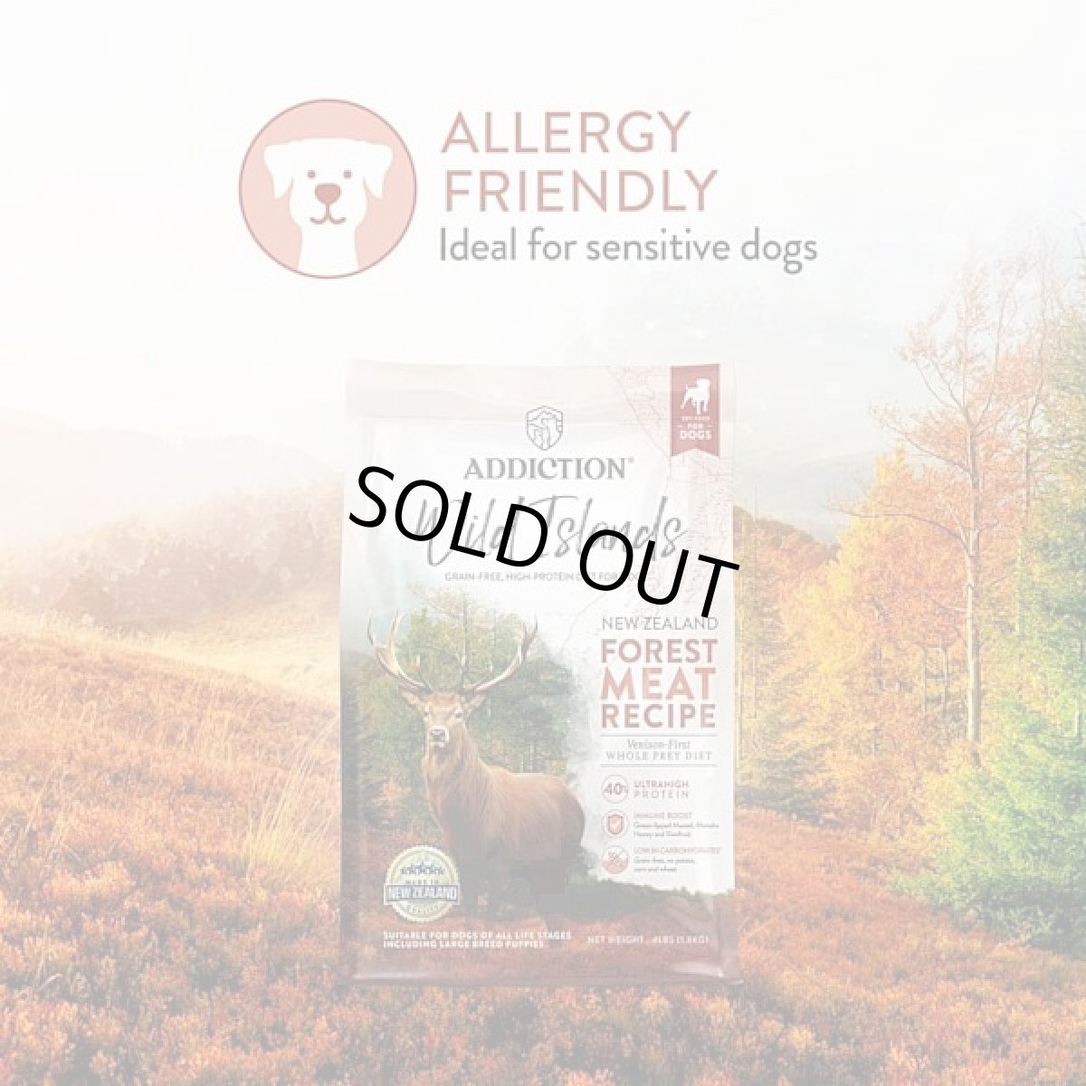 画像2: 最短賞味2027.10.18・アディクション 犬 ワイルドアイランズ ドッグ フォレストミートレシピ900g全年齢犬用ドライ正規品add11189 (2)