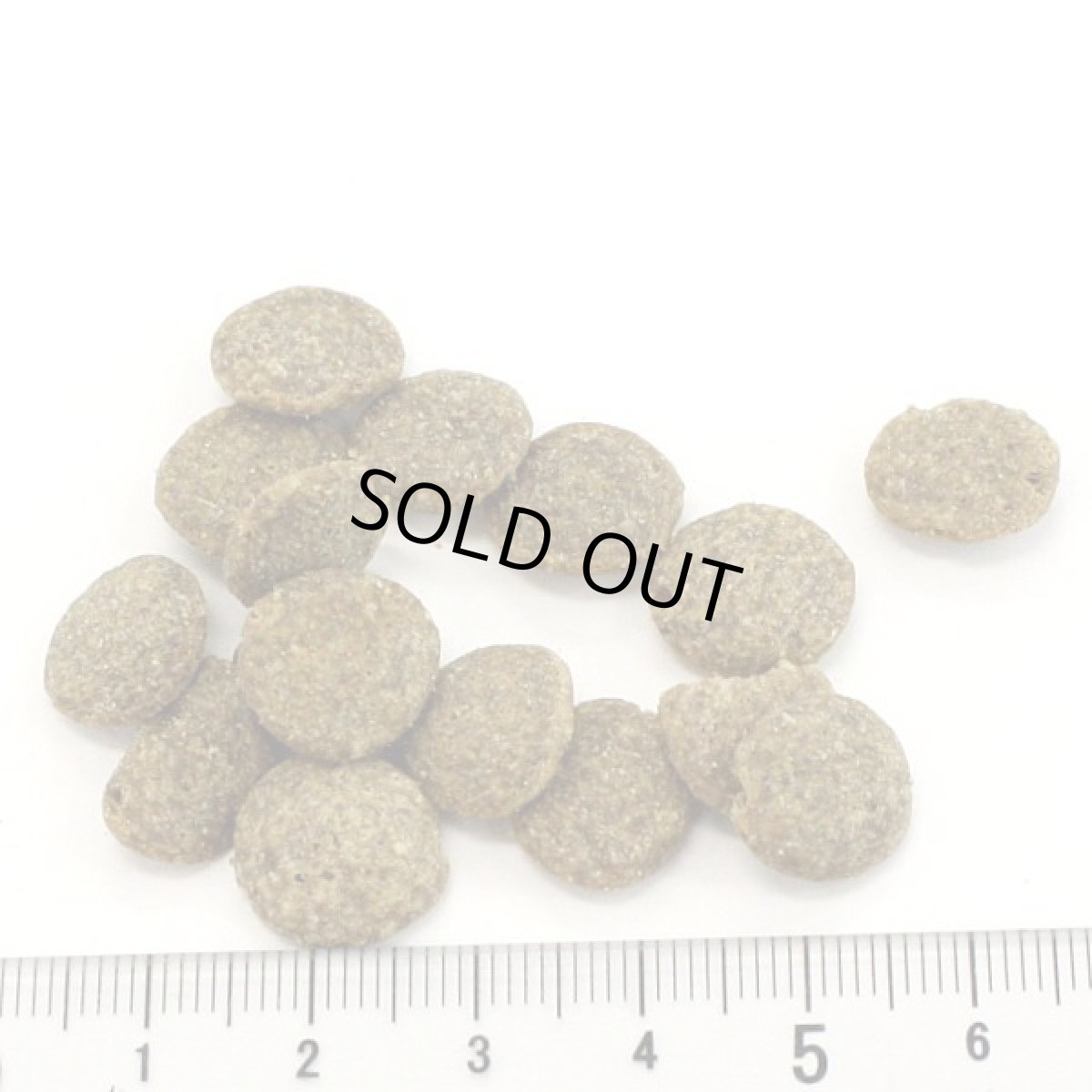 画像3: 最短賞味2027.10.18・アディクション 犬 ワイルドアイランズ ドッグ フォレストミートレシピ900g全年齢犬用ドライ正規品add11189 (3)