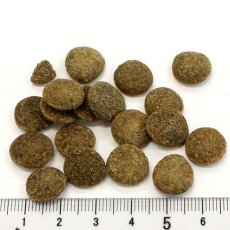 画像2: NEW 最短賞味2027.6.29・アディクション 犬 ワイルドアイランズ ドッグ ハイランドミーツ50g成犬用ドライ正規品add11202 (2)