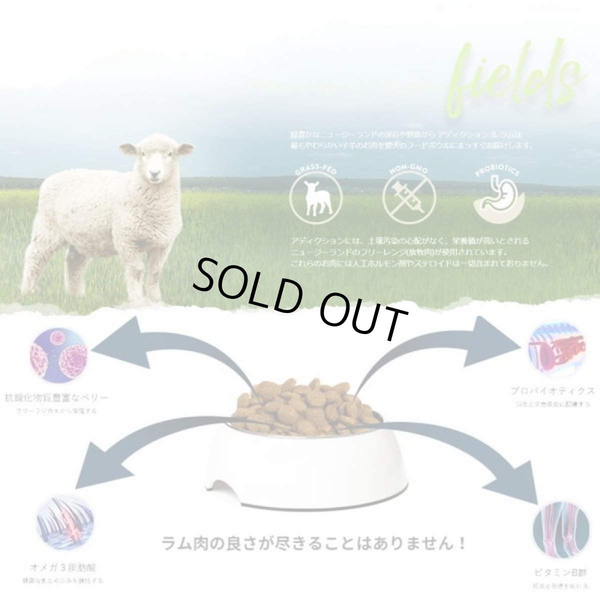 画像5: NEW 最短賞味2027.6.12・アディクション 犬 ル・ラム 50g 全年齢犬用 有料サンプル正規品add11205 (5)