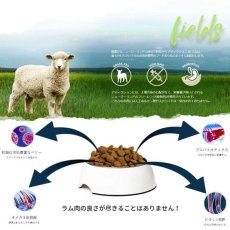 画像5: 最短賞味2027.7.23・アディクション 犬 ル・ラム 4.8kg（800g×6袋）専用ダンボール出荷 袋のラベル無し 正規品add11236 (5)