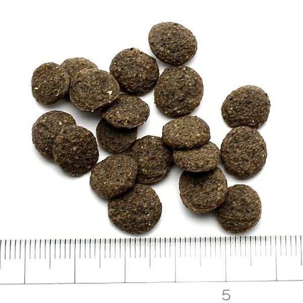 アディクション ル.ラム グレインフリードックフード アディクション ル・ラム グレインフリー ドッグフード 500g: 93｜業務