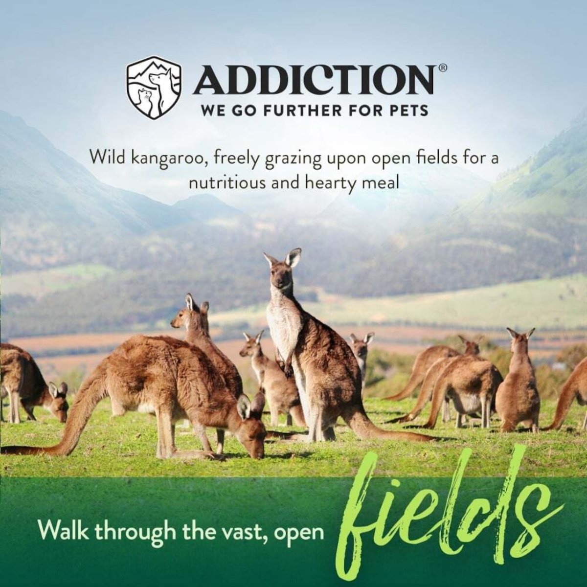 画像6: NEW 最短賞味2027.8.8・アディクション 犬 ワイルド カンガルー＆アップル 50g全年齢犬用 有料サンプル正規品add11502 (6)