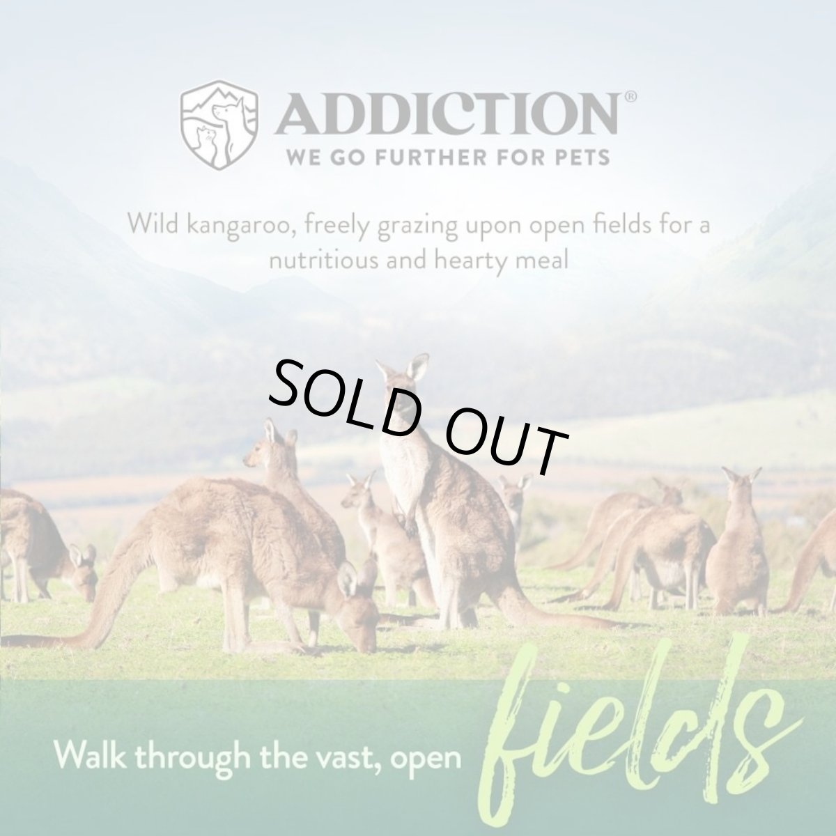 画像6: NEW 最短賞味2027.5.17・アディクション 犬 ワイルド カンガルー＆アップル 50g全年齢犬用 有料サンプル正規品add11502 (6)