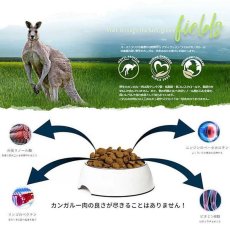 画像4: 最短賞味2027.9.20・アディクション 犬 ワイルド カンガルー＆アップル 4.8kg（800g×6袋）専用ダンボール出荷 袋のラベル無し 正規品add11533 (4)