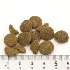 画像3: 最短賞味2026.11.23・アディクション 犬 ワイルドアイランズ ドッグ アイランドバーズ4.2kg(700g×6)専用ダンボール出荷 袋ラベル無しadd11837 (3)