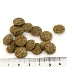 画像3: 最短賞味2026.10.14・アディクション 犬 ワイルドアイランズ ドッグ フォレストミートレシピ1.8kg全年齢犬用ドライ正規品add79205 (3)