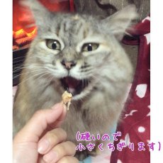 画像6: 最短賞味2025.2・アイファクトリー 香 ハーブ鶏のささみ(ひとくちカット)70g 犬猫用おやつ 愛媛県産松山鶏 無添加 国産ai00054 (6)