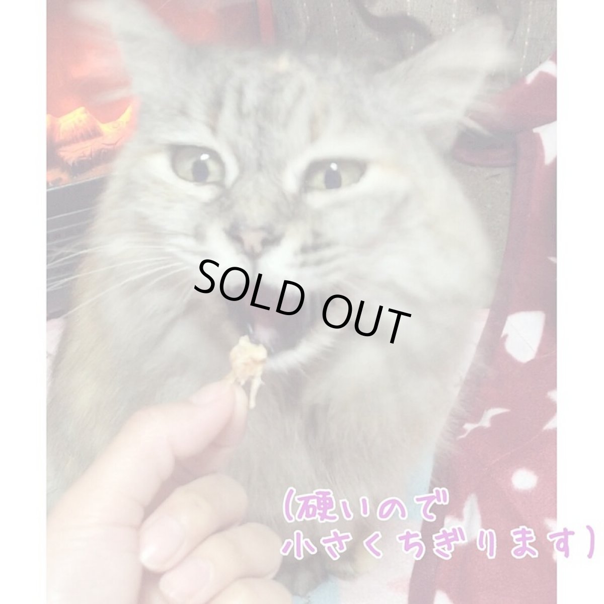 画像6: 最短賞味2025.12.4・アイファクトリー 香 ハーブ鶏のささみ(セミソフト)L 70g 犬猫用おやつ 賞味期限6週間の新鮮おやつ 国産 無添加ai00078 (6)