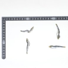 画像3: NEW 最短賞味2027.7・アイファクトリー 香 マイワシ 35g 犬猫用おやつ・京都府産・国産・無添加 ai00344 (3)