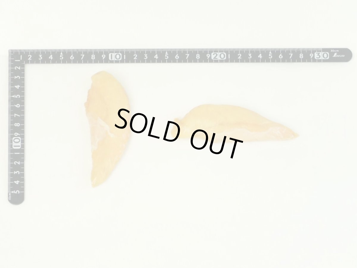 画像2: 最短賞味2026.1.21・アイファクトリー 香 ハーブ鶏のささみ(ソフト)2本入り 犬猫用おやつ  国産 無添加ai00849 (2)