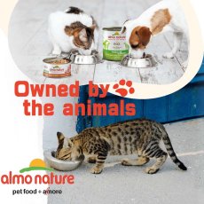 画像6: 最短賞味2027.7・アルモネイチャー 猫 デイリーメニュー チキンとビーフのミートボール 70gパウチalc5271成猫/総合栄養食 (6)