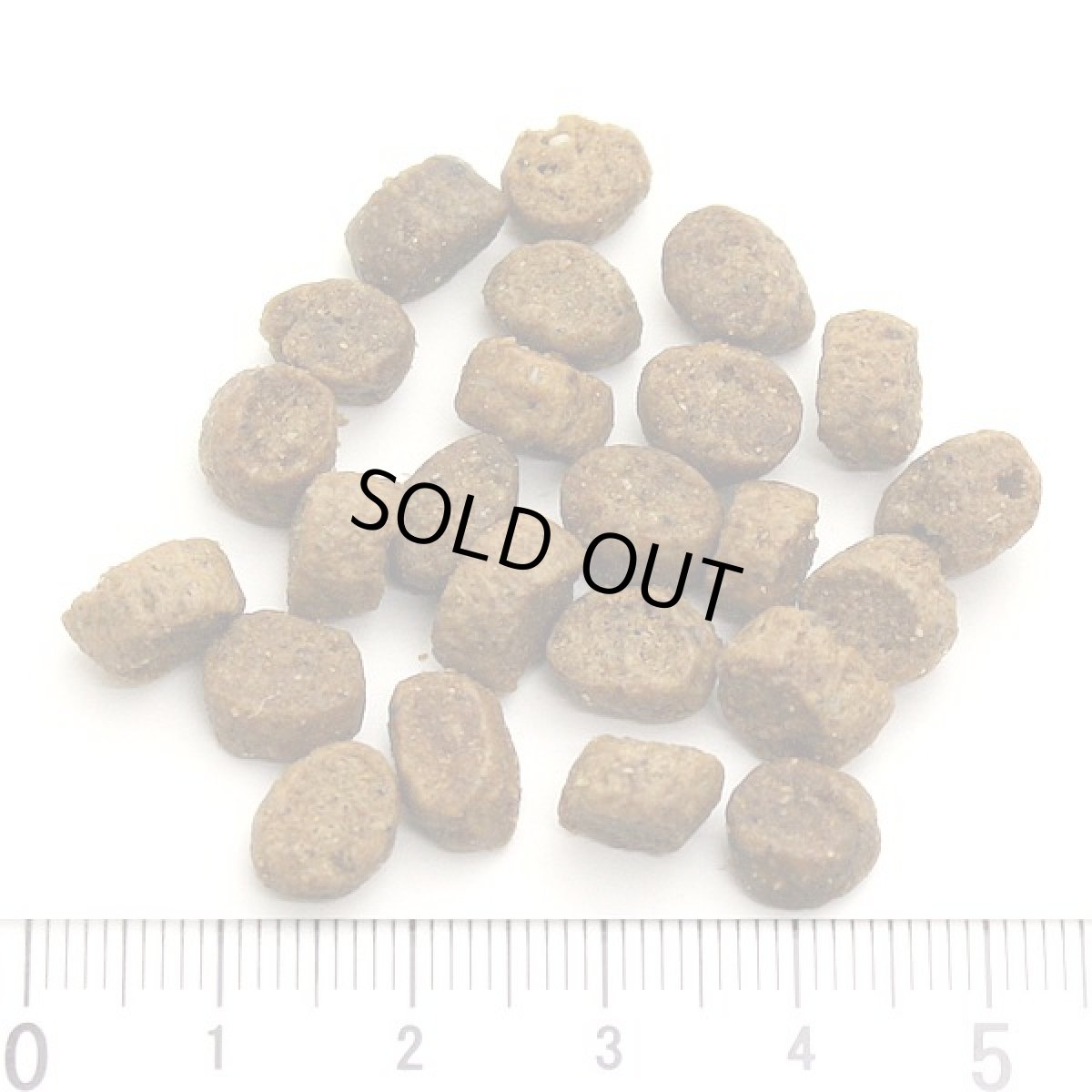 画像2: 最短賞味2027.1.31・アルモネイチャー 猫 ドライ 消化サポート フレッシュラム 2kg alc674キャットフード 正規品 (2)