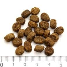 画像2: 最短賞味2026.10.31・アルモネイチャー 猫 ドライ 消化サポート フレッシュラム 2kg alc674キャットフード 正規品 (2)