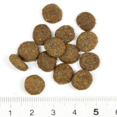 画像2: 最短賞味2027.1.31・アルモネイチャー 小型犬用チキン 400g小粒 ald704ホリスティック ドッグフード almo nature正規品 (2)
