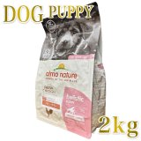 アルモネイチャー犬用ドッグフード正規品 最新レシピまで国内正規全