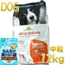 画像1: おまけ付き！最短賞味2025.4.30・アルモネイチャー 犬 ラム 中粒12kg ald741成犬用ホリスティック ドッグフードalmo nature正規品 (1)