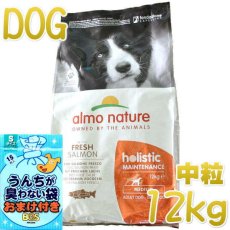 画像1: おまけ付き！最短賞味2025.5.31・アルモネイチャー 犬 サーモン 中粒 12kg ald745成犬用ホリスティック ドッグフードalmo nature正規品 (1)