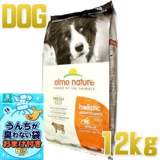 画像1: おまけ付き！最短賞味2025.3.31・アルモネイチャー 犬 ビーフ 中粒 12kg大袋 ald746ホリスティック ドッグ ドライ almo nature 正規品 (1)