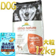 画像1: おまけ付き！最短賞味2025.3.31・アルモネイチャー 犬 ラム 大粒 12kg ald761成犬用ホリスティック ドッグフードalmo nature正規品 (1)