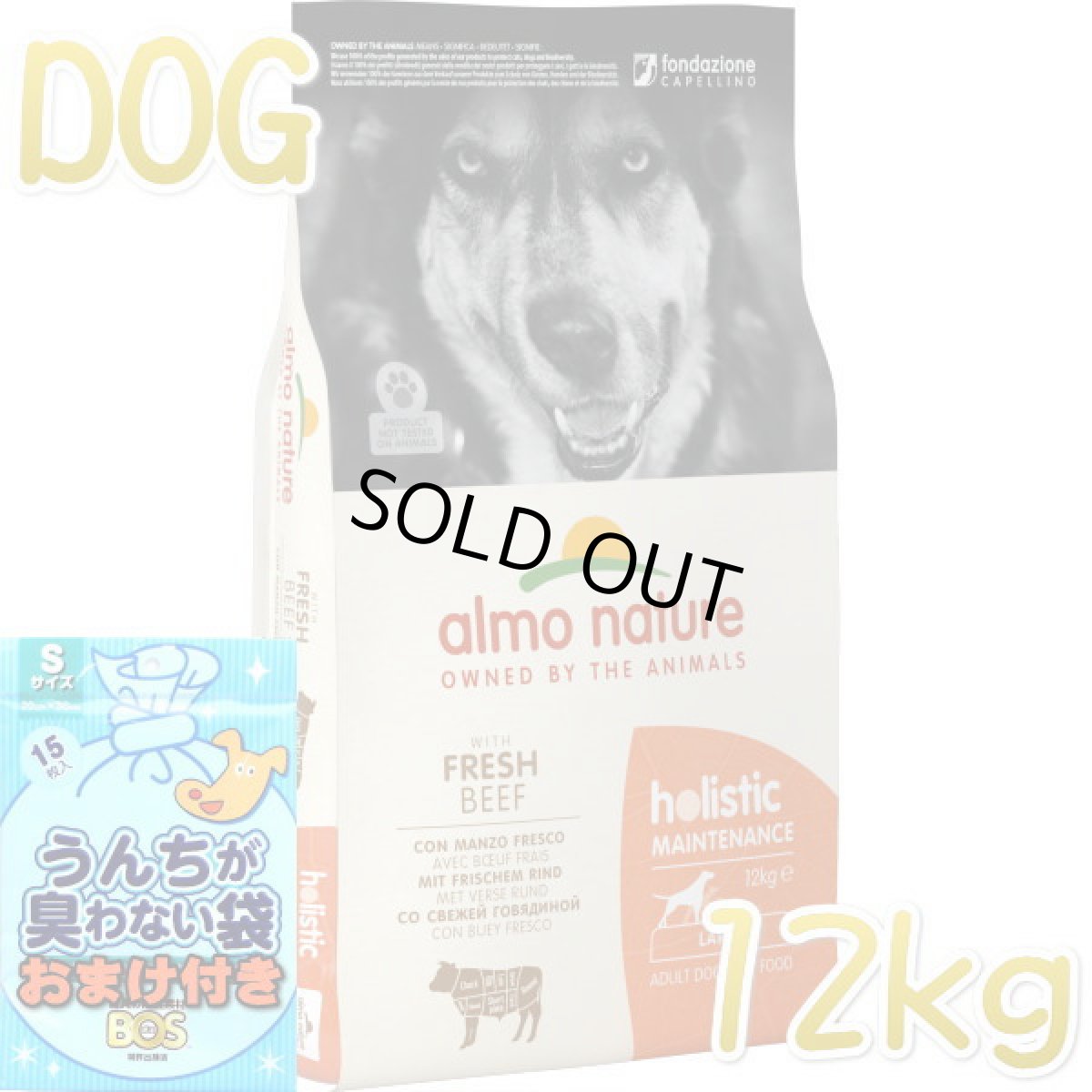 画像1: SALE/おまけ付き！最短賞味2026.10.31・アルモネイチャー 犬 ビーフ 大粒12kg大袋 ald766成犬用ホリスティックドッグ ドライalmo nature正規品 (1)