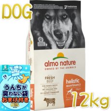 画像1: おまけ付き！最短賞味2025.5.31・アルモネイチャー 犬 ビーフ 大粒12kg大袋 ald766成犬用ホリスティックドッグ ドライalmo nature正規品 (1)