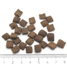 画像2: 最短賞味2026.4.24・オージー ラム プラス アダルト 900g成犬用総合栄養食Aussie Lamb Plus正規品alp22389 (2)