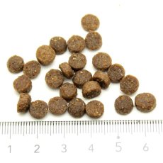 画像2: NEW 最短賞味2026.10.17・オージー ラム プラス 体重管理用900g成犬用Aussie Lamb Plus正規品alp22481 (2)