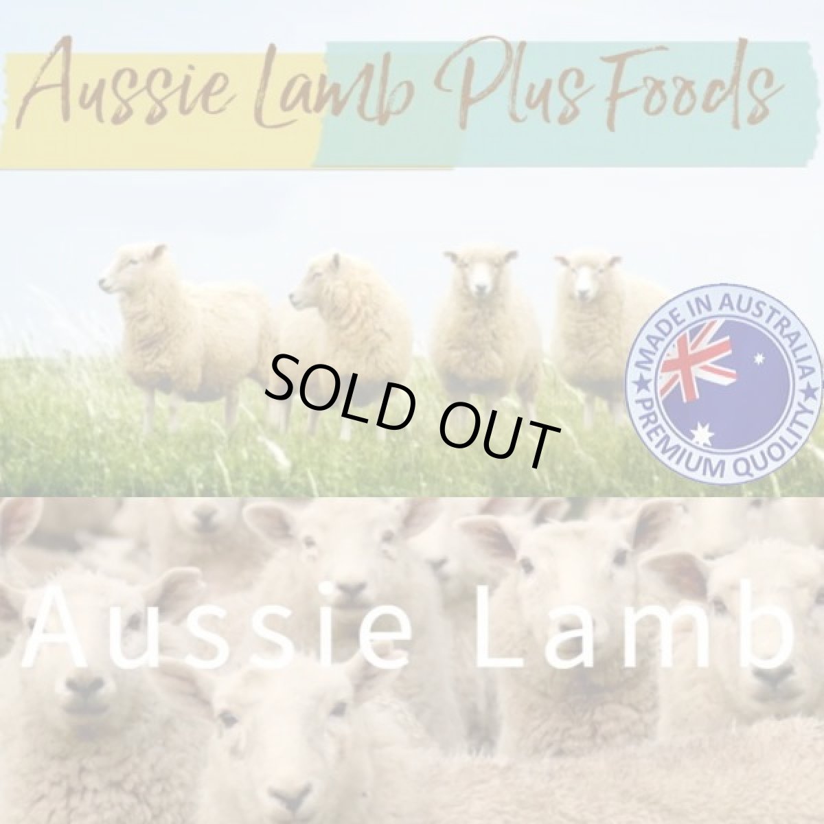 画像3: 最短賞味2027.8.2・オージー ラム プラス 体重管理用900g成犬用Aussie Lamb Plus正規品alp22481 (3)