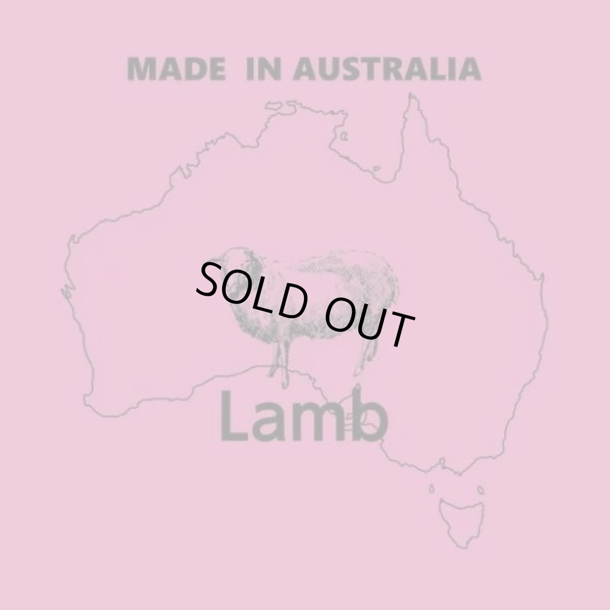 画像5: 最短賞味2027.8.2・オージー ラム プラス 体重管理用900g成犬用Aussie Lamb Plus正規品alp22481 (5)