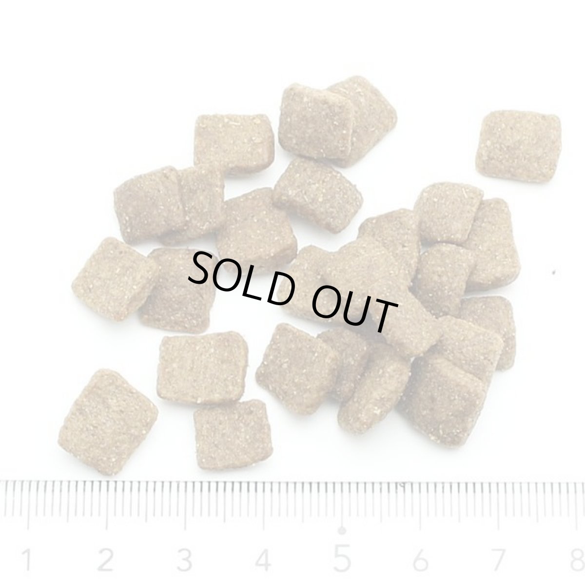 画像2: NEW 最短賞味2026.10.17・オージー ラム プラス シニア 50g 7歳以上Aussie Lamb Plus正規品alp22504 (2)