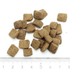画像2: NEW 最短賞味2026.10.17・オージー ラム プラス シニア 900g 7歳以上Aussie Lamb Plus正規品alp22580 (2)