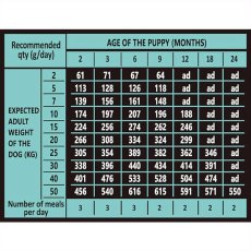 画像4: NEW 最短賞味2025.10.5・アンブロシア 犬 HMNサーディン＆ヘリング 100g 仔犬・活動犬用ドライ ドッグフードAMBROSIA正規品amb07316 (4)