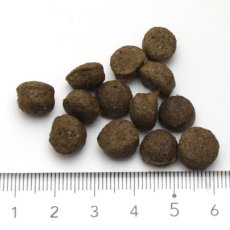 画像5: NEW 最短賞味2025.10.30・アンブロシア 犬 HMNダック 100g 成犬用ドライ ドッグフードAMBROSIA正規品amb07347 (5)