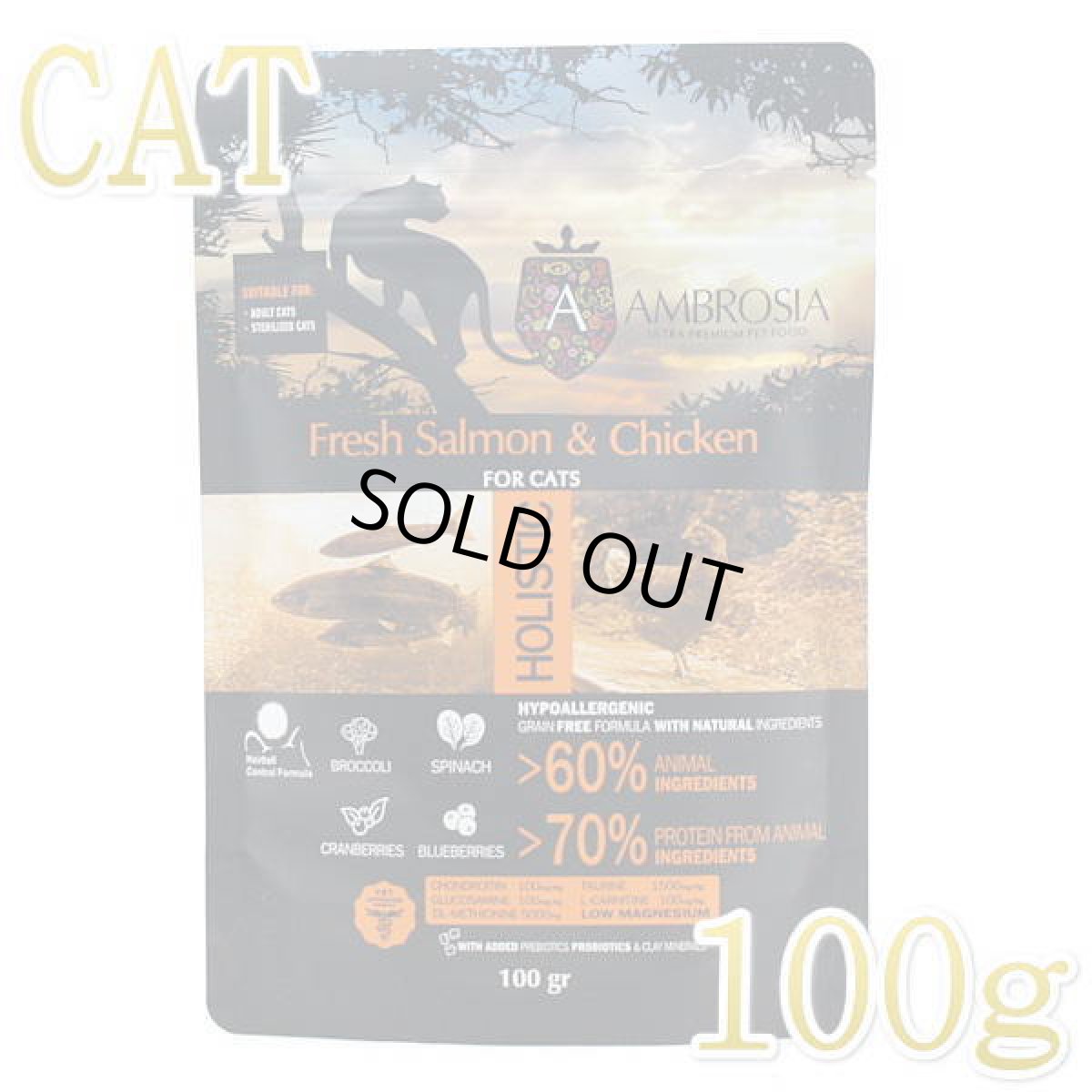 画像1: SALE/賞味切迫2025.10.19・アンブロシア 猫 キャットサーモン＆チキン 100g 全猫用 特にインドア/避妊去勢/仔猫ドライフード正規品amb07439 (1)