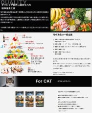 画像3: NEW 最短賞味2025.10.10・アンブロシア 猫 キャットサーモン＆チキン 100g 全猫用 特にインドア/避妊去勢/仔猫ドライフード正規品amb07439 (3)