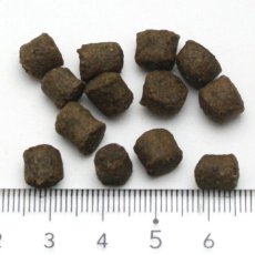 画像5: 最短賞味2026.8・アンブロシア 犬 HMNサーディン＆ツナ 12kg 成犬用ドライ ドッグフードAMBROSIA正規品amb07651 (5)