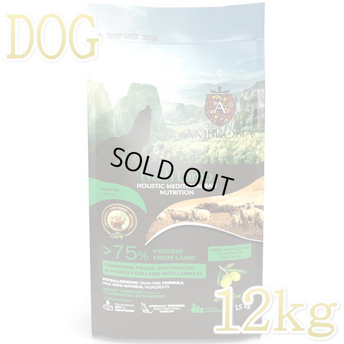 画像1: 最短賞味2026.10・アンブロシア 犬 HMNラム 12kg 成犬用ドライ ドッグフードAMBROSIA正規品amb07699 (1)