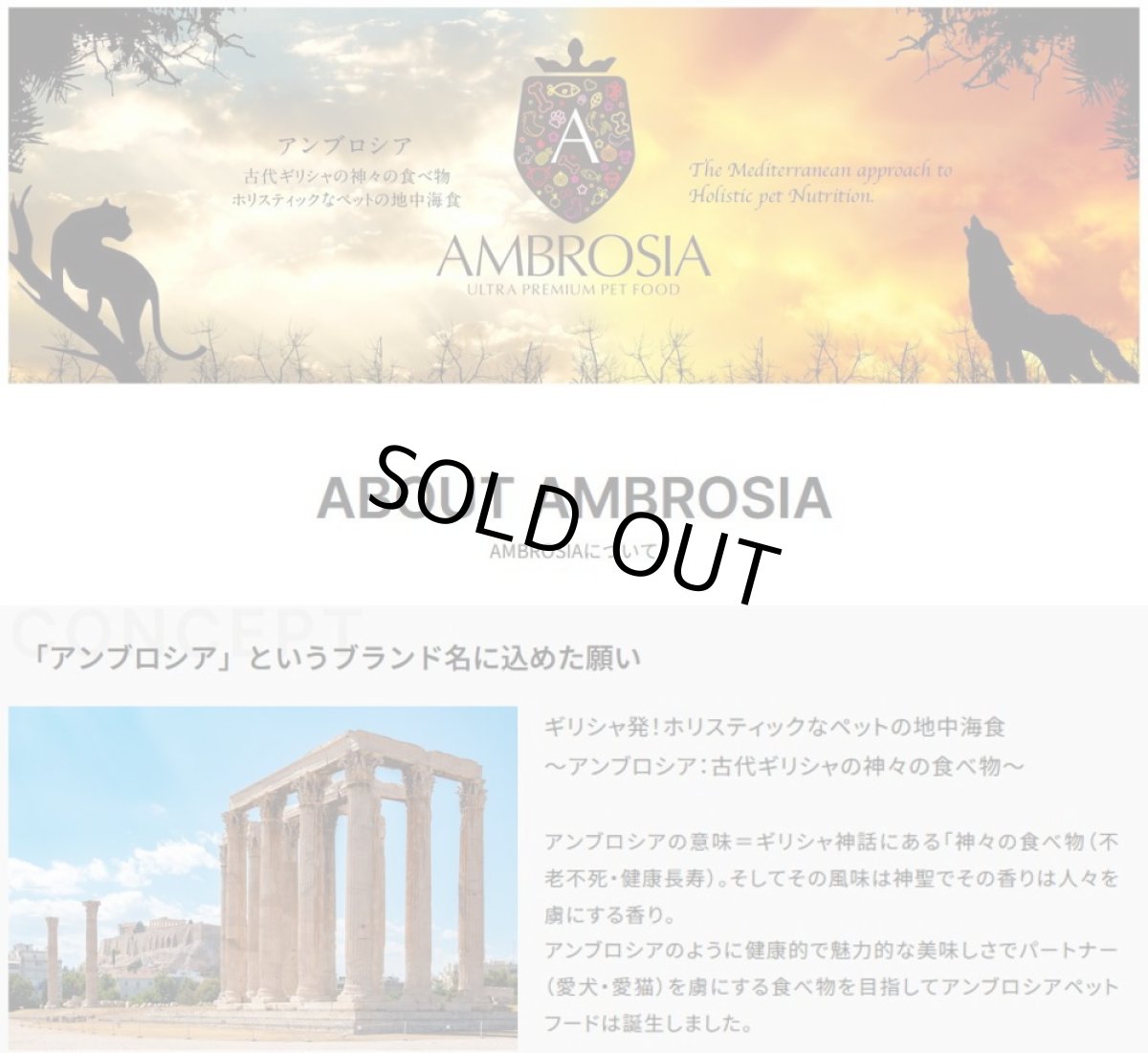 画像2: 最短賞味2027.4.21・アンブロシア 猫 キャットターキー&ヘリング 1.5kg 全猫用 特にインドア/避妊去勢/仔猫ドライフード正規品amb32255 (2)