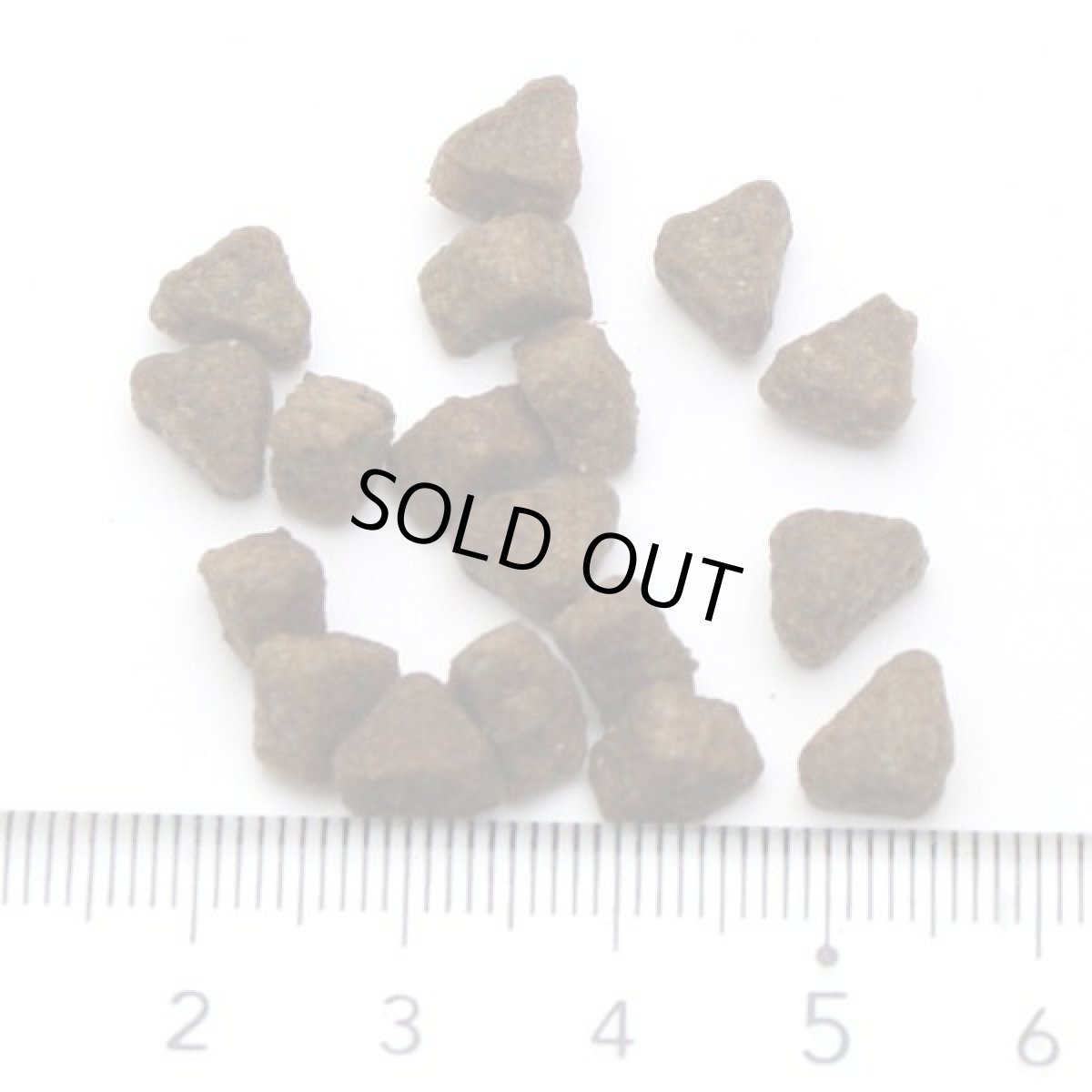 画像5: 最短賞味2027.4.21・アンブロシア 猫 キャットターキー&ヘリング 1.5kg 全猫用 特にインドア/避妊去勢/仔猫ドライフード正規品amb32255 (5)