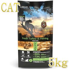 画像1: NEW 最短賞味2025.11.8・アンブロシア 猫 キャットターキー＆ヘリング 5kg 全猫用 特にインドア/避妊去勢/仔猫ドライフード正規品amb32279 (1)