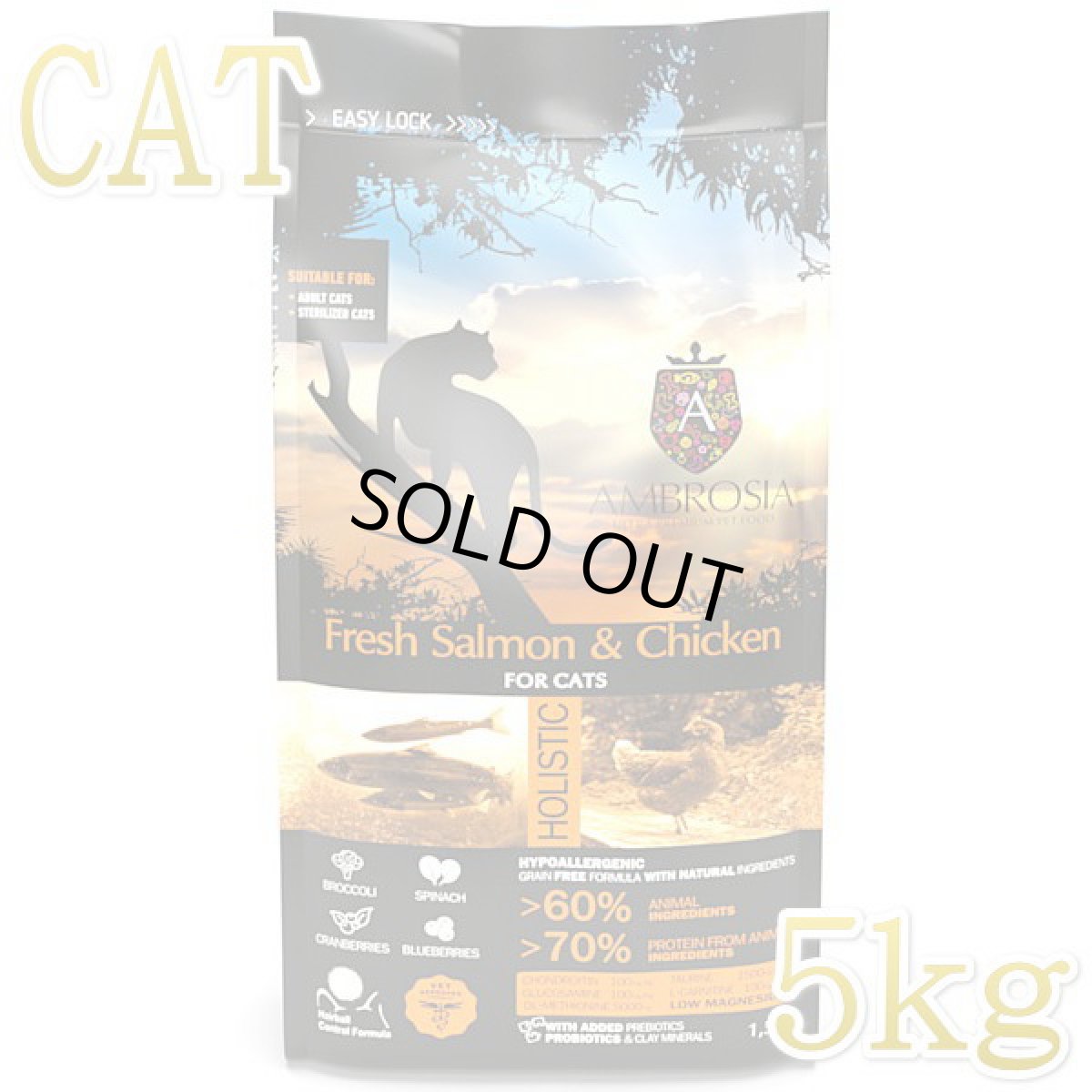 画像1: SALE/賞味切迫2025.10.19・アンブロシア 猫 キャットサーモン＆チキン 5kg 全猫用 特にインドア/避妊去勢/仔猫ドライフード正規品amb32347 (1)