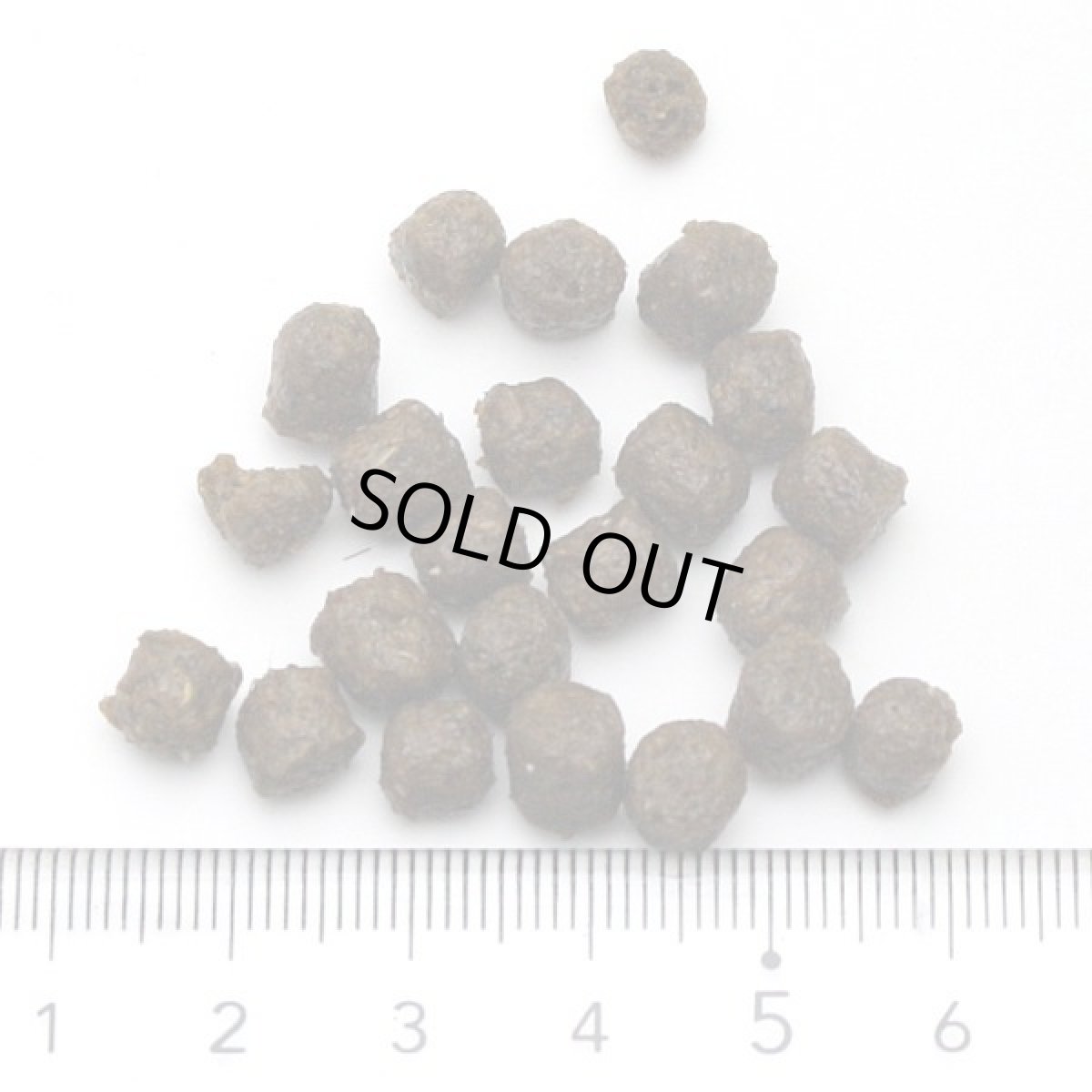 画像5: 最短賞味2026.12.11・アンブロシア 犬 HMNラム 1.5kg 成犬用ドライ ドッグフードAMBROSIA正規品amb32804 (5)