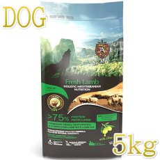 画像1: 最短賞味2026.10.15・アンブロシア 犬 HMNラム 5kg 成犬用ドライ ドッグフードAMBROSIA正規品amb32811 (1)