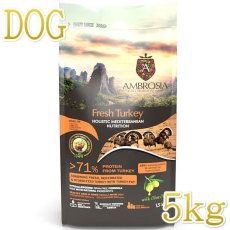 画像1: NEW 最短賞味2025.11.7・アンブロシア 犬 HMNターキー 5kg シニア犬・成犬用ドライ ドッグフードAMBROSIA正規品amb32873 (1)