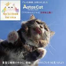 画像7: SALE・2026.2.28まで22％off/NEW 最短賞味2028.12・アタスキャット タンタライジング ツナ＆チキン80g×24個 全年齢猫用一般食ata30044 (7)