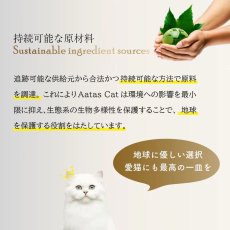 画像5: 最短賞味2027.11・アタスキャット タンタライジング ツナ＆ビーフ80g 全年齢猫用一般食ata30303 (5)