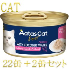 画像1: 最短賞味2027.10・アタスキャット フルーティーフィースト チキンｗｉｔｈマンゴー70g×24個 全年齢猫用一般食ata33618 (1)