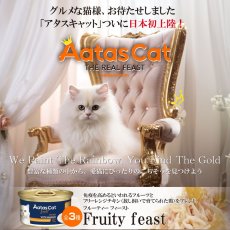 画像6: 最短賞味2027.8・アタスキャット フルーティーフィースト チキンｗｉｔｈキウイ70g 全年齢猫用一般食ata33625 (6)